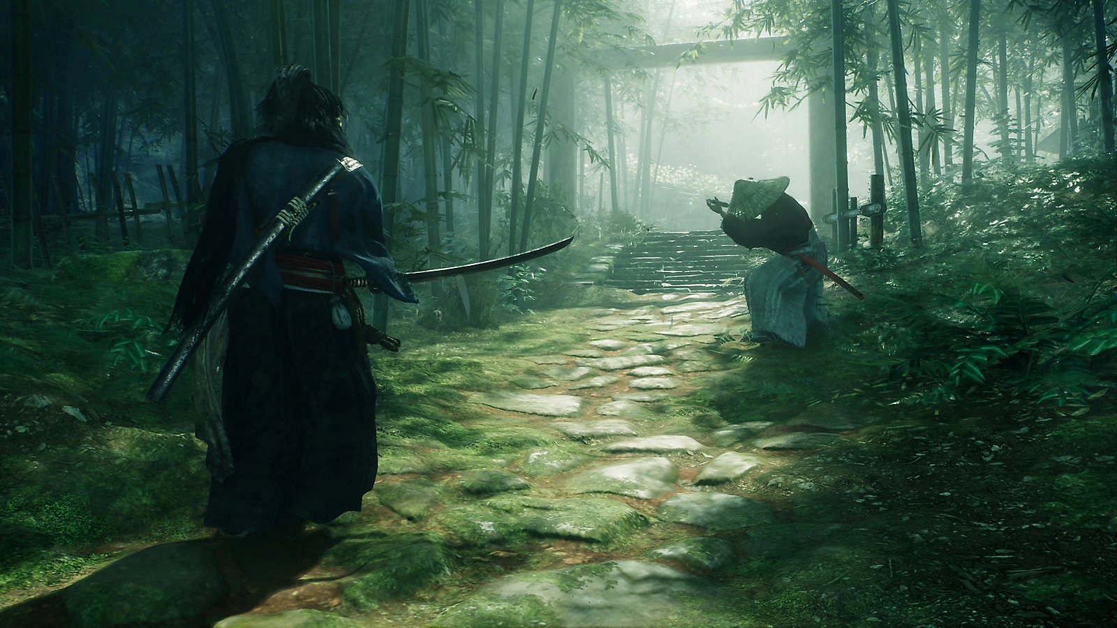 Understanding the Historical Context of the Rise of the Ronin