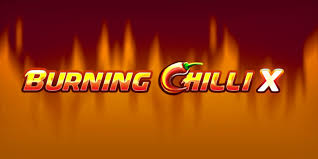 Gameplay Mechanics and Basic Rules of Burning Chilli X Slot